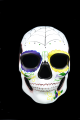 Men's Day of The Dead Mask