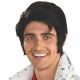 Wig- Elvis 