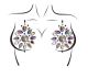 Cressida Jewels Sticker Pasties