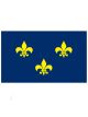FDL Flag w/ 3FDl-Blue