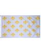 White Flag with Fleur de lis