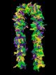 Mardi Gras Feather Boa (Purple/Green/Yellow)