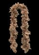 Feather Brown Boa
