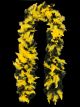 Feather boa--Black and Gold
