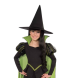 Wicked Witch of the West Costume