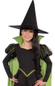 Kids Wicked Witch of the West Costume