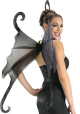 Wings -Adult Gothic Fairy Wings Assortment