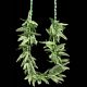 Green Leaf Bead