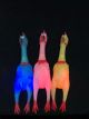 Light Up Squealing chicken