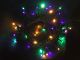 PGG String Lights 100CT
