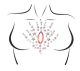 Juniper Jewels Sticker