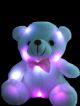 Bear Light up