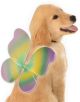 Pet Mardi Gras Fairy Wings