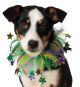 Pet Mardi Gras Fancy Collar