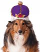 Pet Mardi Gras King’s Crown