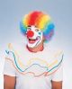 Wig- Afro Rainbow Clown  