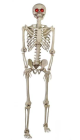 5 ft Posable Skeleton with LED Eyes