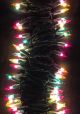 PGG Small String Lights (20ft)
