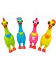 Chicken - Funny Chicken