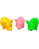 Small Pig PGG