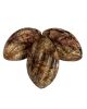 Spiral Football Camo Brown