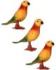 Walking Parrot