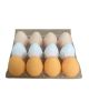 Squishy Egg Carton
