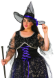 Adult Midnight Witch Plus Size Costume