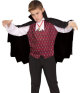 Boy's Vampire Costume