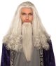 Facial Hair -Wise Wizard Wig w/ Beard (White)