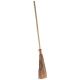Witch Broom